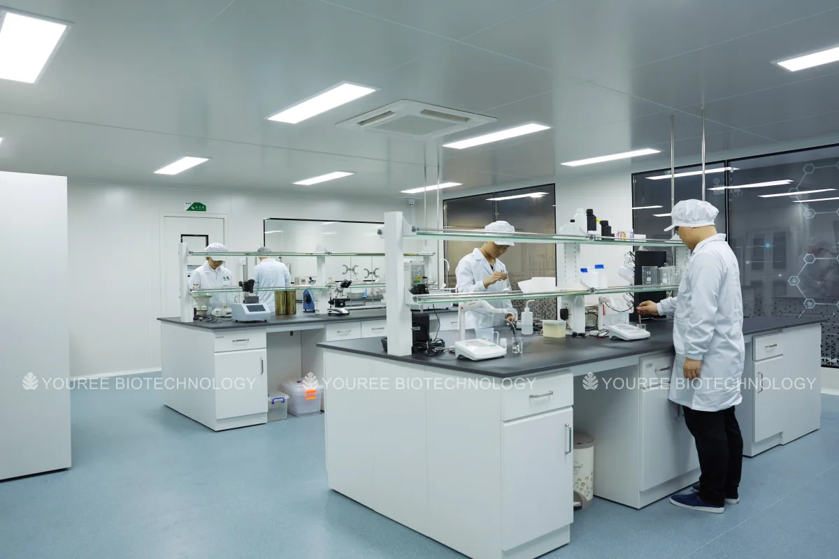 YOUREE research and development laboratory